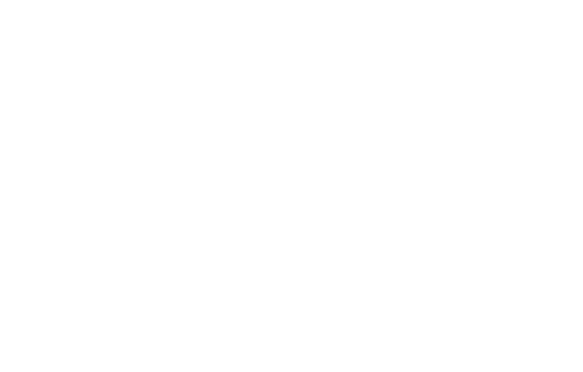 İşNet Logo Transparan Beyaz